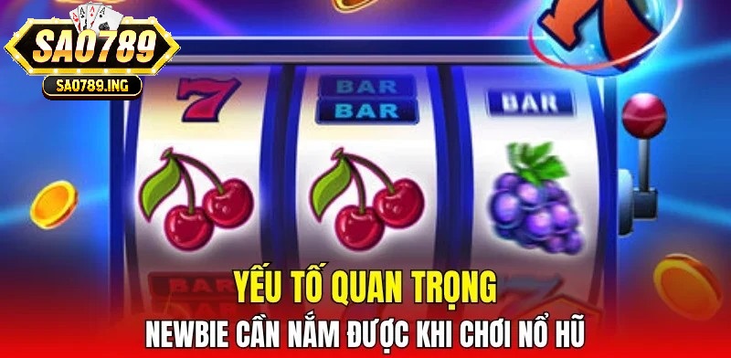 Yếu tố quan trọng newbie cần nắm được khi chơi nổ hũ